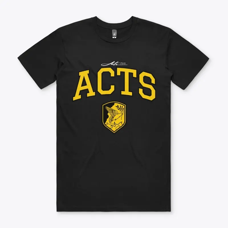 The Book of Acts (Black)