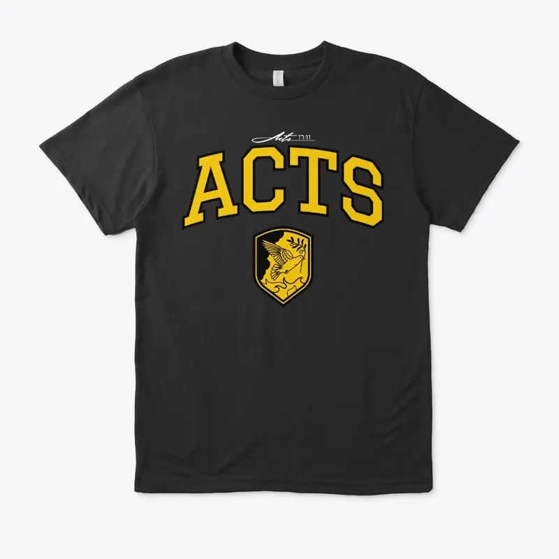 The Book of Acts (Black)