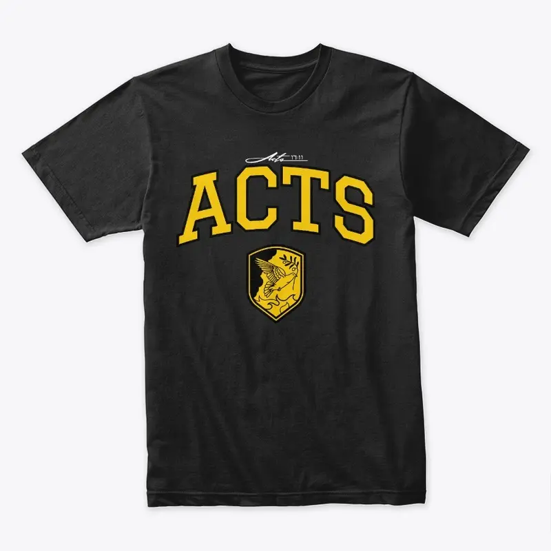 The Book of Acts (Black)