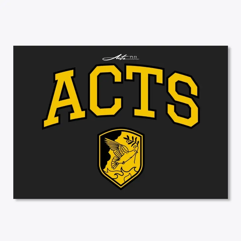 The Book of Acts (Black)